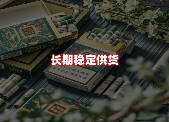 专业团队